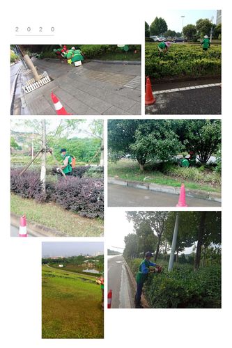 东湖高新区6月15日养护工作简报（韵湖科技）